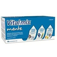 Vitalmix mente 12fl 12ml
