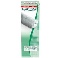 Benda icopiuma orlata 20 5x10