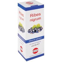 Ribes nigrum mg 100ml gtt