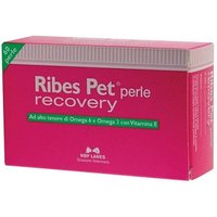 Ribes pet recovery 60perle per la perdita di pelo
