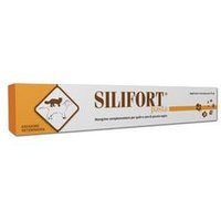 Silifort pasta os siringa 30g
