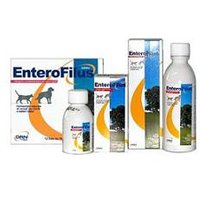 Enterofilus*os fl 250ml