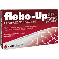 Flebo-up sh 500 30cpr