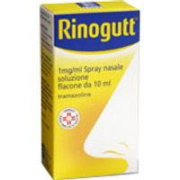 Rinogutt*spray nasale 10ml