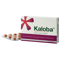 Kaloba 21 compresse