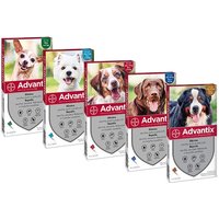 Advantix spot on*4pip 40-60kg
