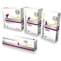 Drn epato 1500 plus 32compresse per cane