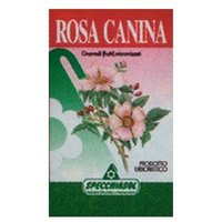 Rosa canina erbe 75cps