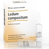 Ledum comp 10f 2,2ml heel