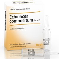 Echinacea comp s 10f ft heel