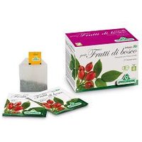 Infuso frutta bosco 20bs