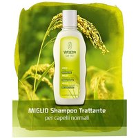 Miglio shampoo 190ml