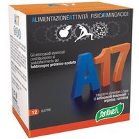 A17 aminoacidi essenzial12bust
