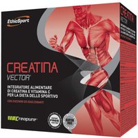 Creatina vector 20bust 8g