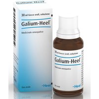 Galium 30ml gtt heel