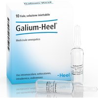 Galium 10f 1,1ml heel