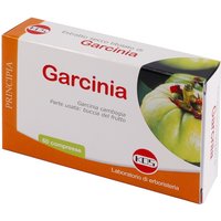 Garcinia e.sec.60cpr 25,2g kos