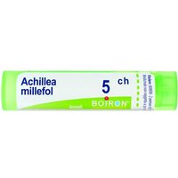 Achillea millef 5ch gr