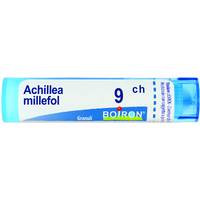 Achillea millef 9ch gr