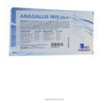 Anagallis iris px4 10f 2ml