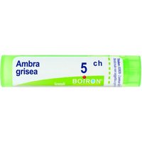 Bo.ambra grisea 5ch tubo