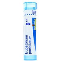 Bo.eupatorium perfoliatum*9ch