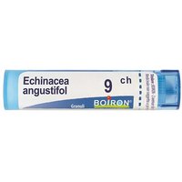 Bo.echinacea ang.9ch tubo