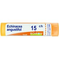 Bo.echinacea angust 15ch gr