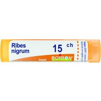 Bo.ribes nigrum 15ch gr