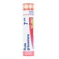 Bo.ruta graveolens*7ch 80gr 4g