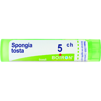 Bo.spongia tosta 5ch tubo