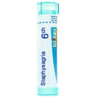 Bo.staphysagria*6ch 80gr 4g