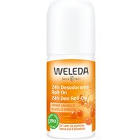 24h deo roll-on oliv spin 50ml