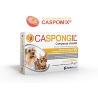 Caspongil 30cpr divisibili