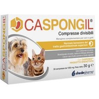 Caspongil pasta 30 gr