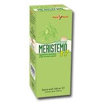 Meristemo inkas 17 100ml