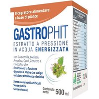 Gastrophit macerato 500ml