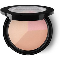 Tol tt poudre fixatr 12g/fgbn