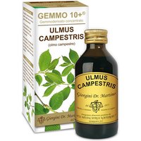 Olmo camp 100ml analco gem 10+