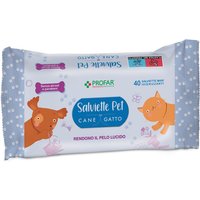 Profar salviette talco pet40pz