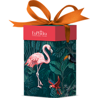 Euphidra body harmony 2 pezzi