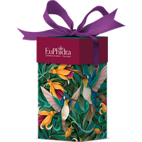 Euphidra bordeaux royale 2 pezzi