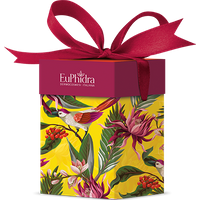 Euphidra golden day 3 pezzi