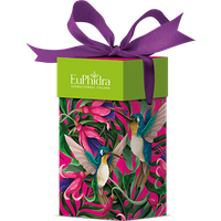 Euphidra magenta royale 2 pezzi