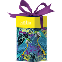 Euphidra wow look 2 pezzi