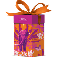 Euphidra time for you 2 pezzi