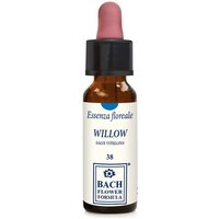 Willow original 10ml gtt