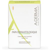 Les indispensables pane sur100