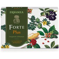 Forte plus 14fl da 10ml s/gl e