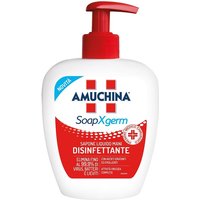 Amuchina xgerm sapone disinf